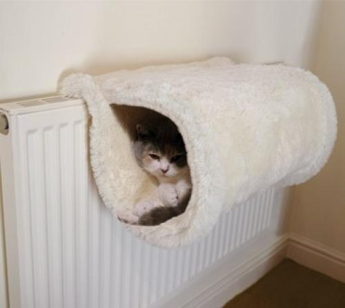 Хранение кота в тепле 01