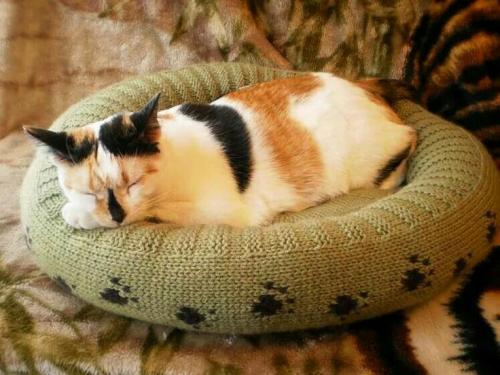 Уютная кроватка из старого свитера 02