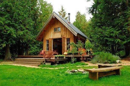 Тишина, природа 03