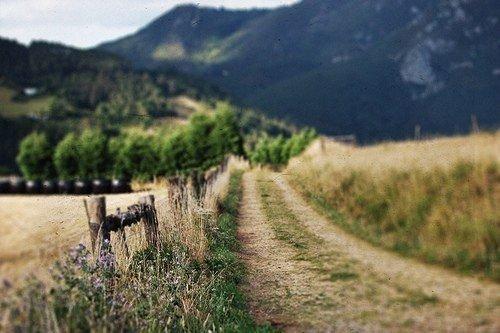 Тишина, природа 01