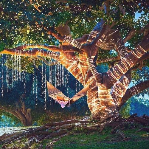 Сказочно красиво 02