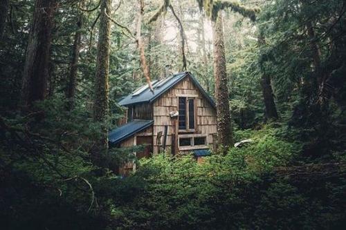 Рай для интроверта 06