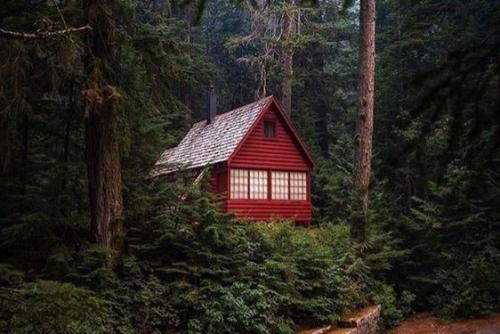 Рай для интроверта 08