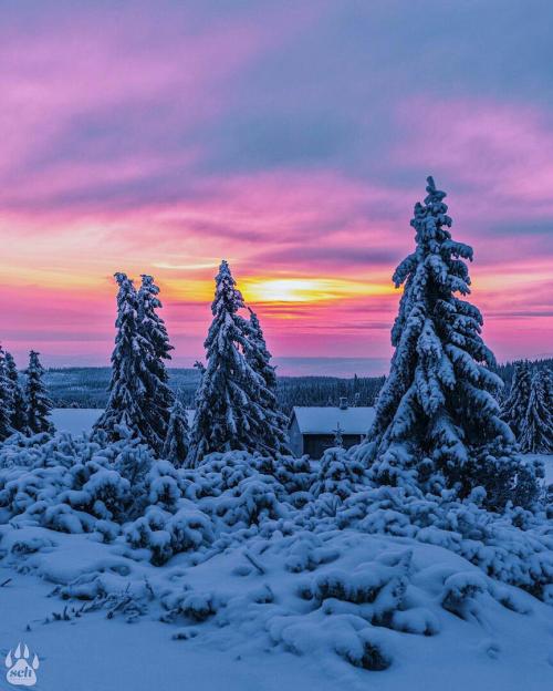 Норвегия зимой 05