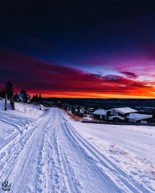 Норвегия зимой 01