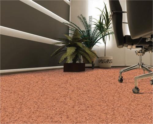 Как выбрать линолеум для кухни и прихожей. Как выбрать линолеум — советы и рекомендации от экспертов напольного покрытия