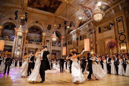 Классическая Вена 11