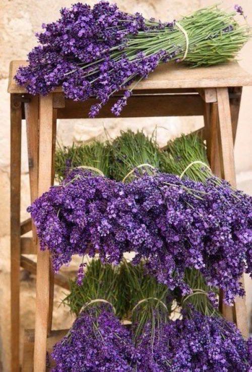 Лавандовое вдохновение 02