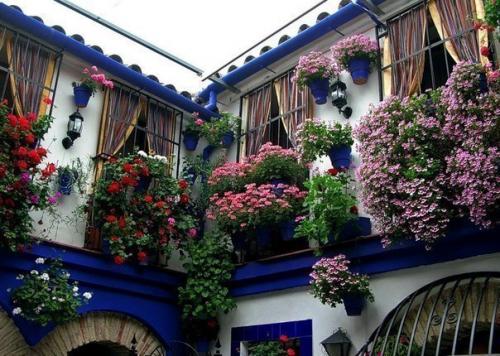 Испания, утопающая в цветах 04