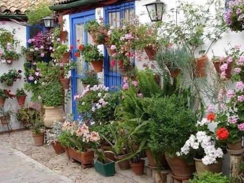 Испания, утопающая в цветах 06