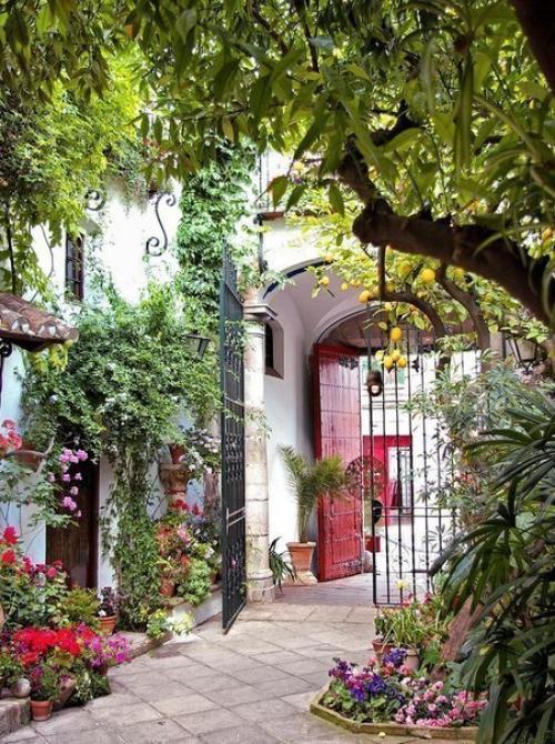 Испания, утопающая в цветах 07