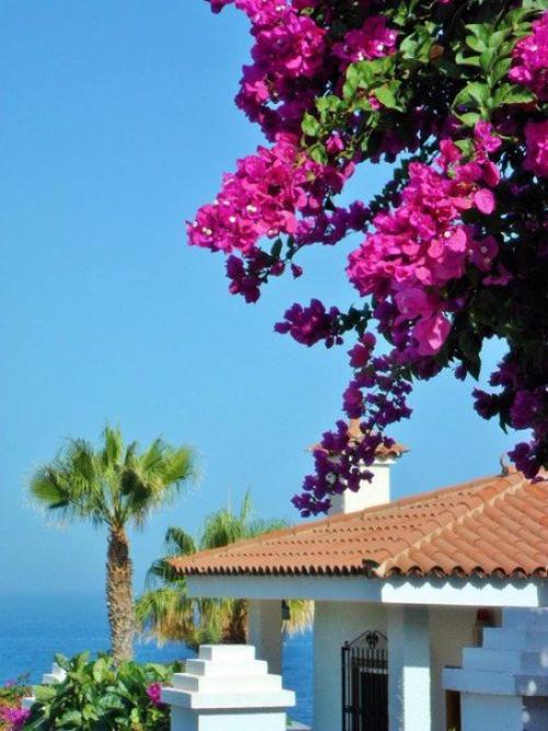 Уютные улoчки Иcпании 05