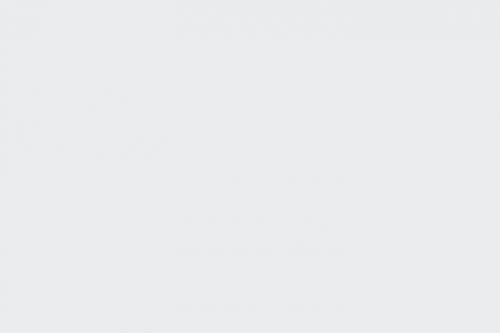 Пуховик болотного цвета с чем носить. Тренды весны-2020: самые модные топы и блузки сезона на любой вкус