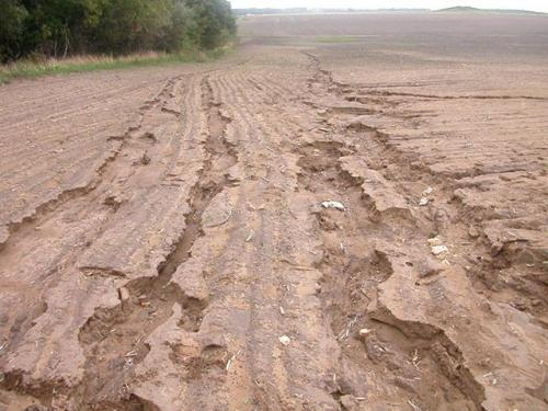 Дренаж участка без труб. Для чего нужен дренаж участка