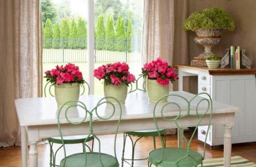 Цветы большие в горшках для дома. Какие цветы в горшках лучше держать дома: критерии выбора растений 04