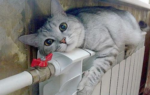 Норма температуры в угловой квартире. Нормы температуры