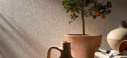 Как ровно покрасить стены. Технология покраски стен своими руками с фото и видео 16 Как ровно покрасить стены. Технология покраски стен своими руками с фото и видео 16