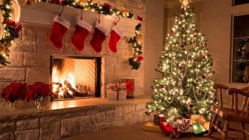 Елка в маленькой гостиной. Какие они: элегантные и стильные новогодние ели для современных гостиных