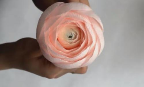 Цветы из гофрированной бумаги своими руками схемы. Цветы из гофрированной бумаги своими руками