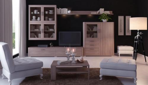 Гостиная в темных тонах. Палитра темных оттенков для оформления интерьера гостиной