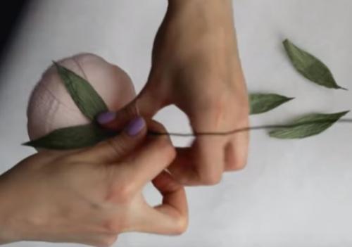 Цветы из гофрированной бумаги своими руками схемы. Цветы из гофрированной бумаги своими руками