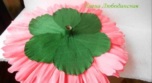 Цветы из бумаги большие. Детальный способ