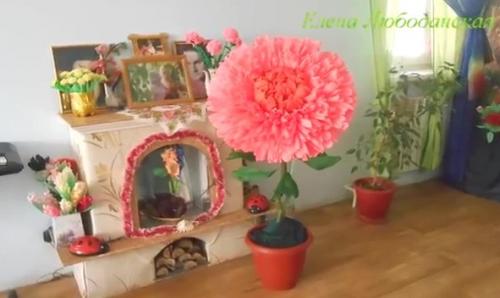 Цветы из бумаги большие. Детальный способ