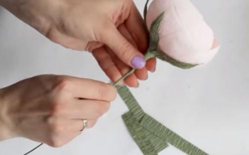 Цветы из гофрированной бумаги своими руками схемы. Цветы из гофрированной бумаги своими руками