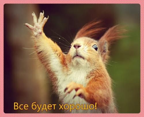 Идеальная чистота и порядок в доме. 15 правил поддержания чистоты в доме.