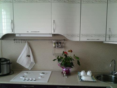 Пространство под мойкой рациональное использование. Система хранения под мойкой на кухне: вопросы гигиены