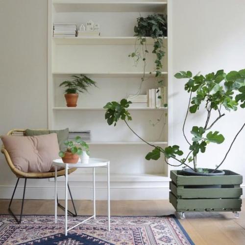 Обустройство съемной квартиры своими руками. Как сделать съемную квартиру уютной: 5 советов