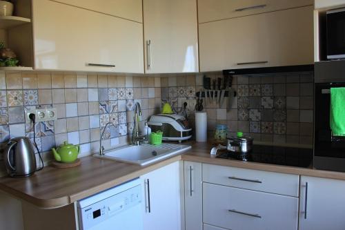 Пространство под мойкой рациональное использование. Система хранения под мойкой на кухне: вопросы гигиены