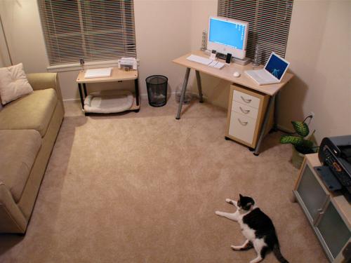 Очищение дома от хлама. Как очистить дом от хлама: пошаговая инструкция 01 Очищение дома от хлама. Как очистить дом от хлама: пошаговая инструкция 01