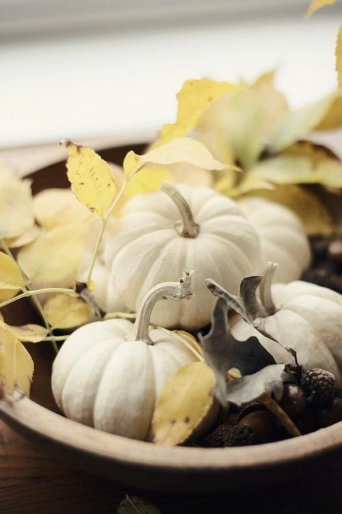 Украшаем комнату к осени своими руками. 7 красивых способов украсить дом осенними дарами природы