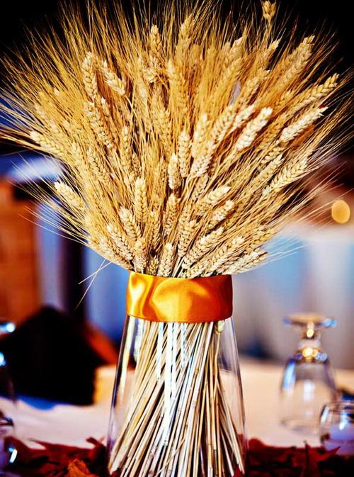 Украшаем комнату к осени своими руками. 7 красивых способов украсить дом осенними дарами природы