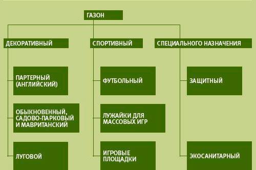 Какой газон лучше рулонный. Как выбрать рулонный газон 01