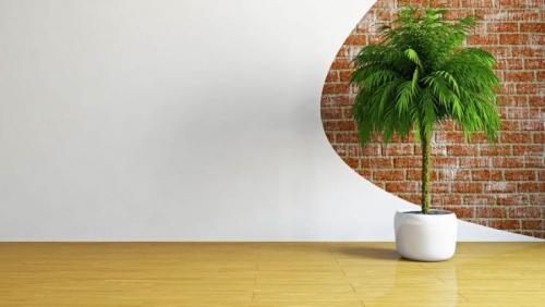 Как украсить стену картинами. Основные способы украшения стен