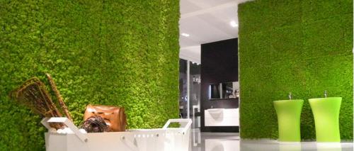 Стабилизированный мох в ванной. Как сделать стабилизированный мох в домашних условиях