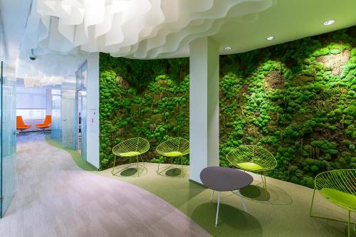 Мох в интерьере, как ухаживать. Стабилизированный мох