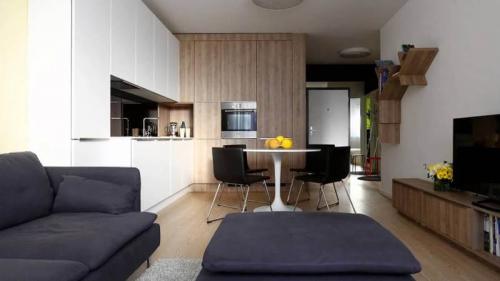 Перепланировка двухкомнатной квартиры распашонки. Варианты перепланировки квартиры распашонки