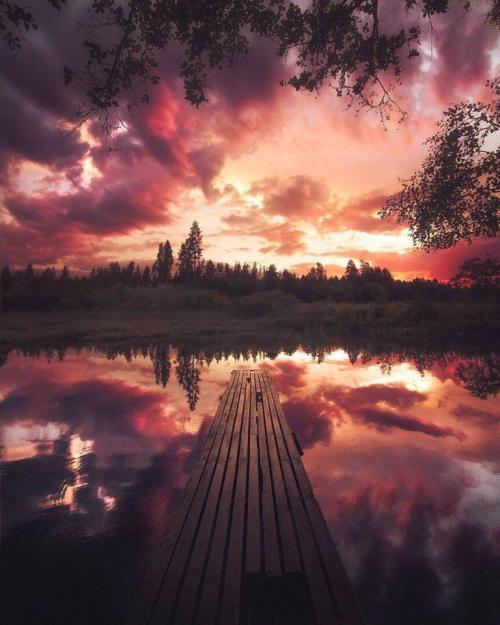 Жизнь — это та сказка, которую пишет каждый для себя сам 02