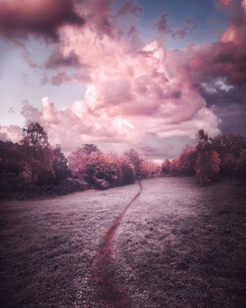 Жизнь — это та сказка, которую пишет каждый для себя сам 01