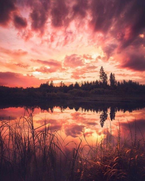 Жизнь — это та сказка, которую пишет каждый для себя сам 04