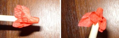 Как сделать топиарий в домашних условиях. Сердце из подручных материалов в домашних условиях ко Дню влюбленных (14 февраля)