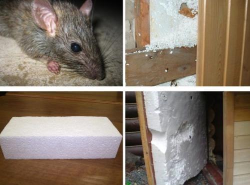 Фасад из пенопласта своими руками. Разновидности пенопластов