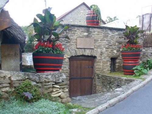 Помещения в подвале частного дома. Подвал в частном доме — пошаговая инструкция, как обустроить цокольный этаж своими руками (75 фото)