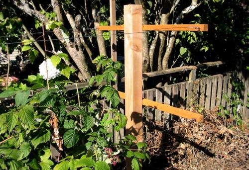 Однополосная шпалера для малины. Видео: Лучшие шпалеры для малины