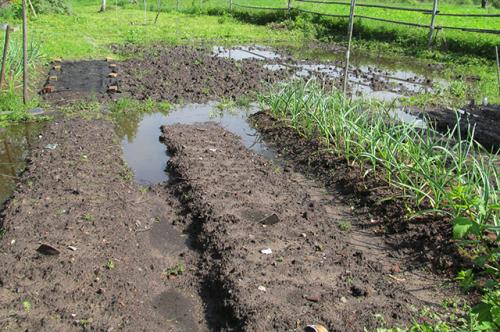 Дача весной с чего начать. Весна в огороде. Краткие инструкции по сезонным работам