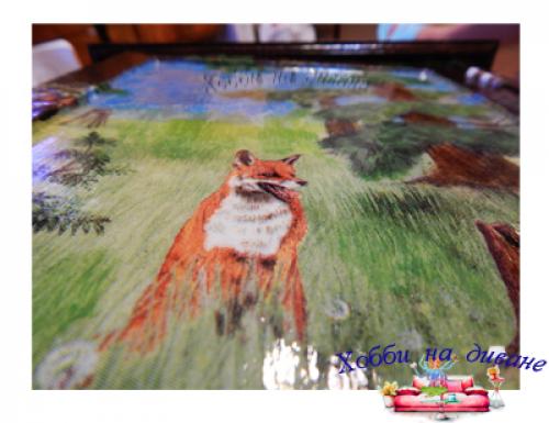 Жидкое стекло применение клей. Назначение и область применения жидкого стекла в других сферах производства 19