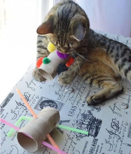 Как сделать игрушку для кота своими руками в домашних условиях. Сложные конструкции